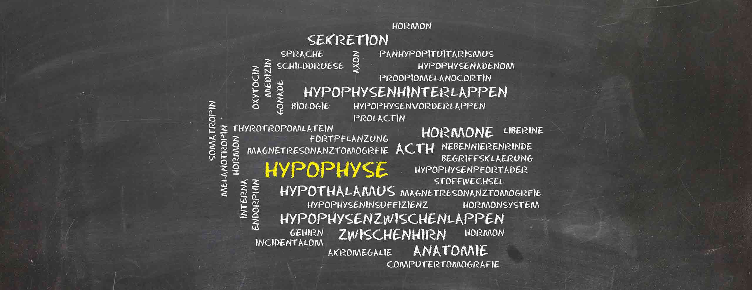 Therapie in Mainz: Bei krankhafter Veränderung der Hypophyse