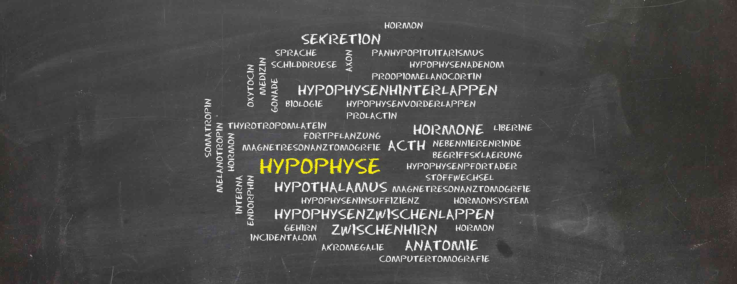 Therapie in Mainz: Bei krankhafter Veränderung der Hypophyse