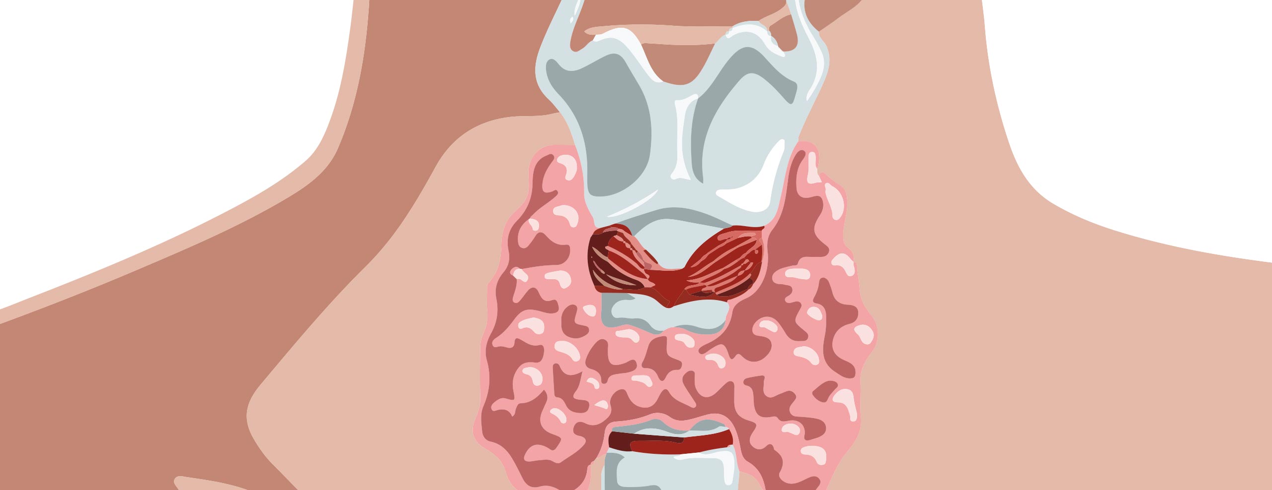 Hormontherapie in Mainz: Funktioniert Ihre Schilddrüse?